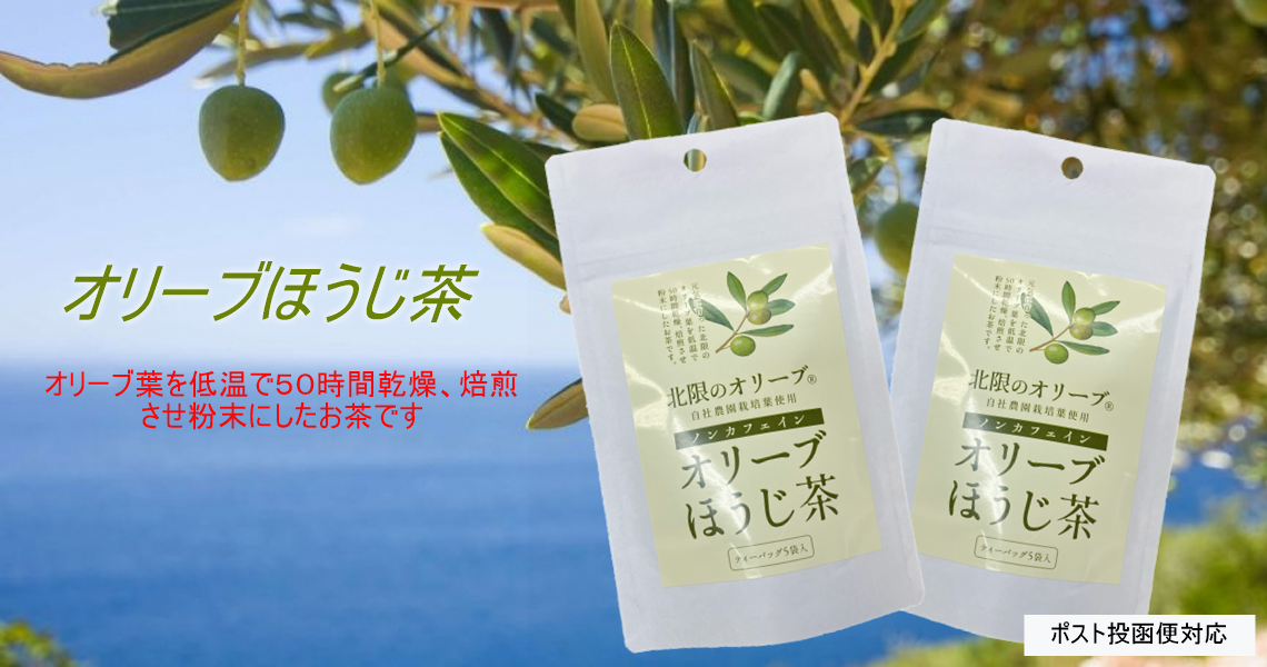 新しく生まれ変わったオリーブ茶の販売を開始しました！